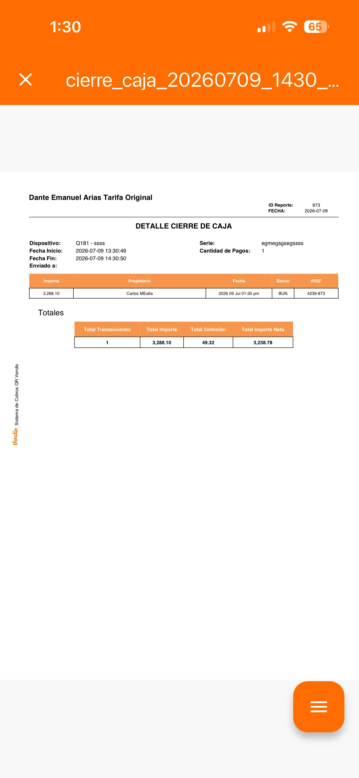 Visor del reporte PDF